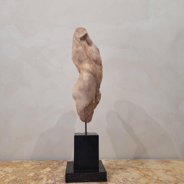 Classical Plaster Torso, 1960s, Plaster For Sale - Image 6 of 11