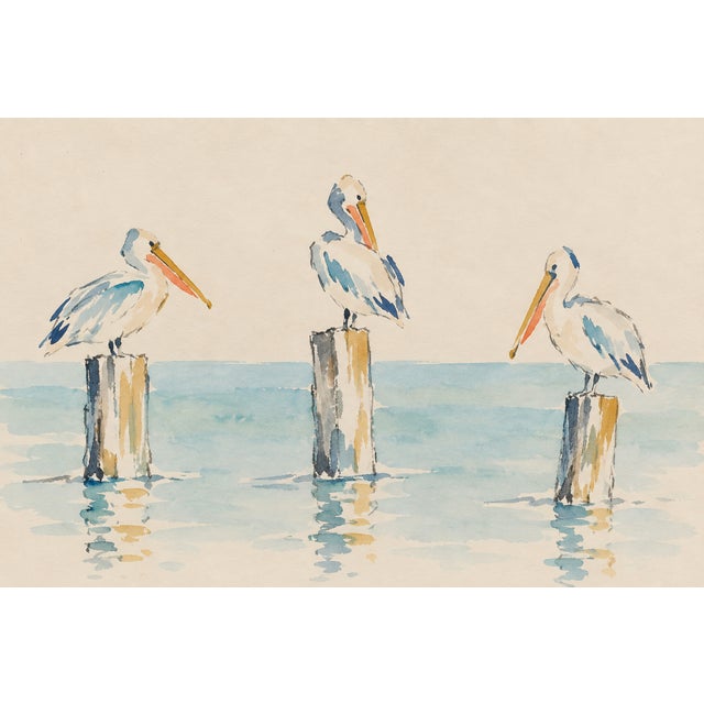 Coastal Pelican Art Print – Three Pelicans on Harbor Posts, 60" X 40" For Sale