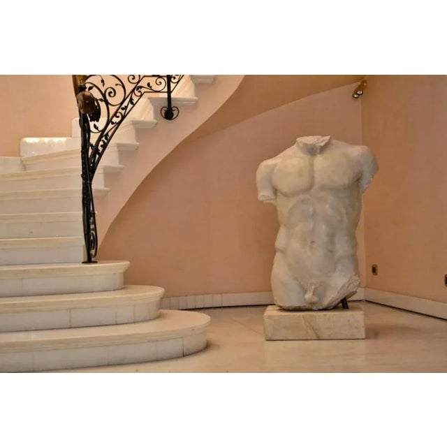 Early 20th Century Italian Torso Carrara Marble For Sale - Image 4 of 6