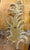Mid 20th Century Mud Century Three Arm Gilt Wood Italian Wall Sconce for Candles, Signed Made in Italy For Sale - Image 5 of 6
