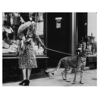 'Cheetah Who Shops' Unframed Archival Pigment Print For Sale