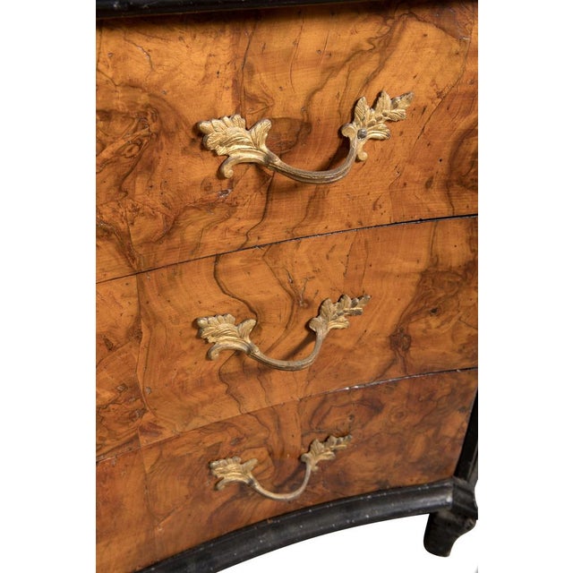 Wood Lombard Drop-Leaf Cabinet in in Walnut Root Veneer with Ebonized Profiles, 18th Century For Sale - Image 7 of 11