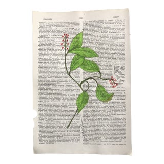 “Supplejack” Contemporary Colored Pencil Drawing on Dictionary Page For Sale