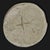 Plaster cast for coin is an artwork realized by aurelio mistruzzi, 1940s. Slightly damaged plaster. Written in latin not...