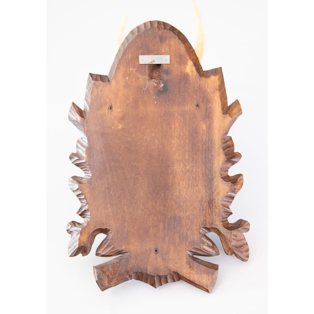 Antique Black Forest Roe Deer Antlers Hunting Trophy 1906 Mount For Sale In Houston - Image 6 of 7