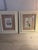 Traditional French Hand Tinted Framed Botanicals, Set of Six For Sale - Image 12 of 12