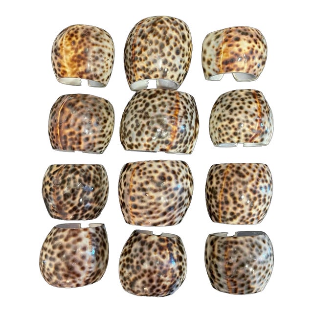 Tiger Cowrie "Leopard Spotted" Sea Shell Napkin Holders Rings. Set of 12 For Sale