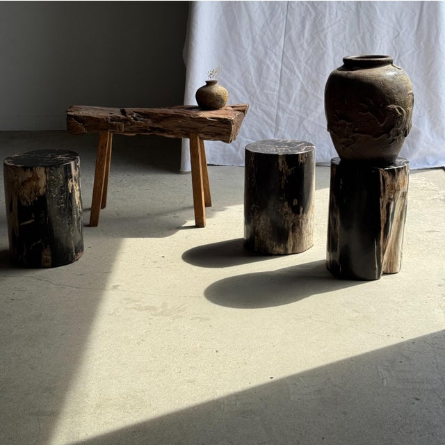 Side table in black petrified wood with beige sides, H35 D24. Petrified wood is a fossilized wood (same family as...