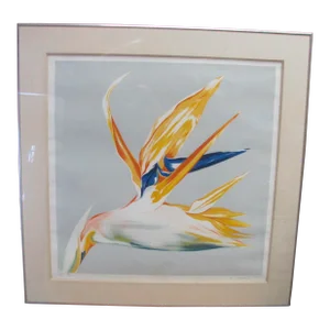 "Bird of Paradise" Silkscreen by Lowell Nesbitt Signed Numbered 15/40 Dated 1986 v.g.