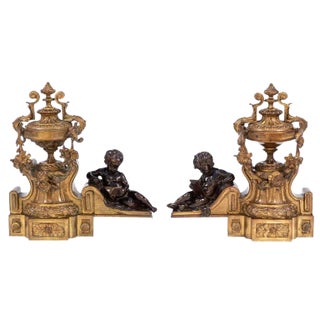 19th Century French Bronze Chenets - a Pair For Sale