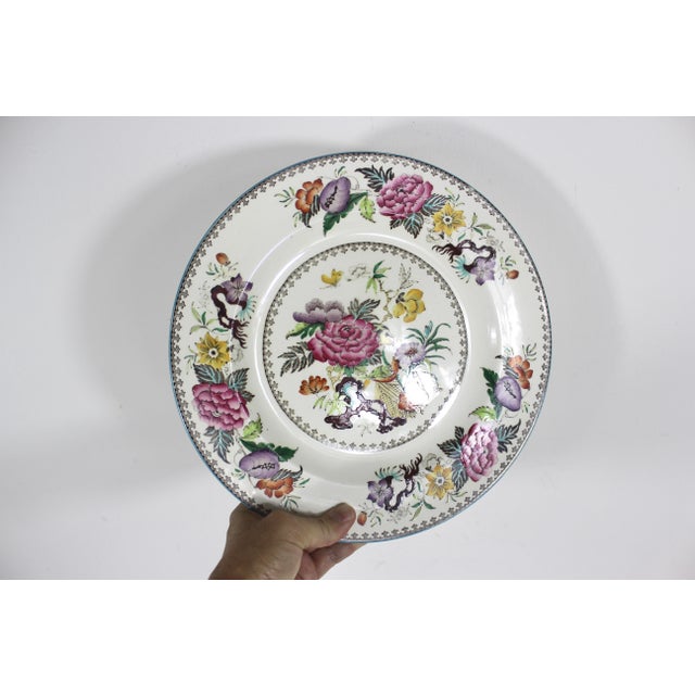 1880’s Antique Wedgwood Bullfinch Brown Dinner Plate With Blue Edge 10.25” Plate For Sale - Image 6 of 7