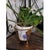 Metal Vintage Brass Plant Stand Ball Holder 3 Leg 5" Tall Palm Leaves Sea Shell Decor For Sale - Image 7 of 10