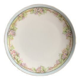 Example of Thomas Dinnerware
