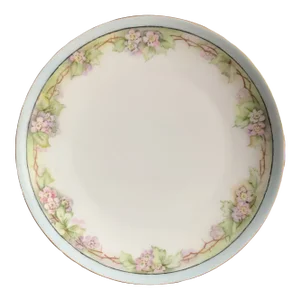 Antique Early 20th Century Thomas Sevres Bavaria Hand Painted Plate