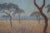 1920s 1920s Naturalistic South African Landscape Oil Painting For Sale - Image 5 of 7