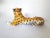 Vintage Italian Ceramic Leopard Sculpture, 1960s For Sale - Image 4 of 9