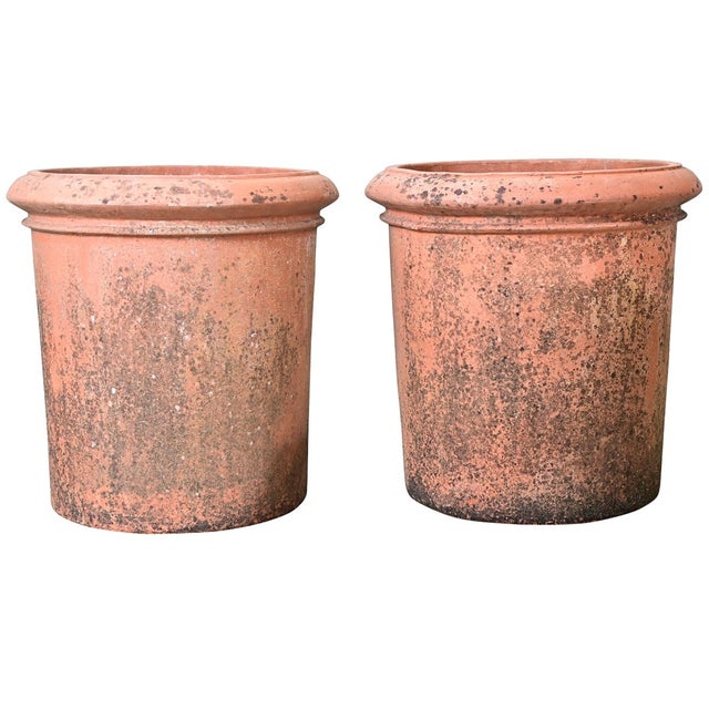 English Pair of Large 20th Century Terracotta Planters For Sale - Image 11 of 11
