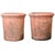 English Pair of Large 20th Century Terracotta Planters For Sale - Image 11 of 11