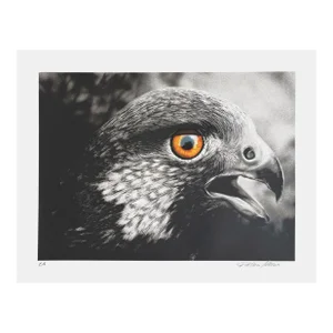 1991 Patrice Larue Eagle Screen Print