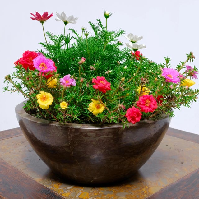 Tapered Puddingstone Basin For Sale In Chicago - Image 6 of 6