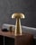 Illuminate your space with the chic and portable Umbra accent table lamp, a beacon of minimalist modern style. Standing at...
