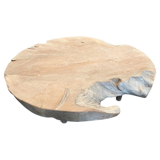 Andrianna Shamaris Impressive Organic Round Teak Wood Coffee Table For Sale - Image 16 of 18