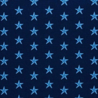 Sample - Schumacher Star Epingle Fabric in Blue For Sale