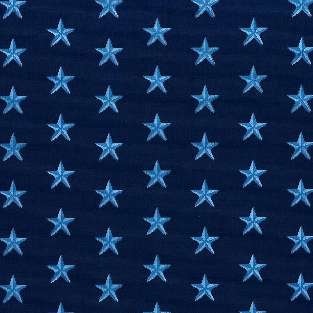 Sample - Schumacher Star Epingle Fabric in Blue For Sale