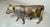 Metal Antique 1920's Cast Iron Gold Cow Animal Still Coin Penny Bank – A.c. Williams For Sale - Image 7 of 11