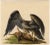 An original early 19th-century watercolour painting Golden Eagle Attacking a Hare.A watercolour of exceptional quality and...