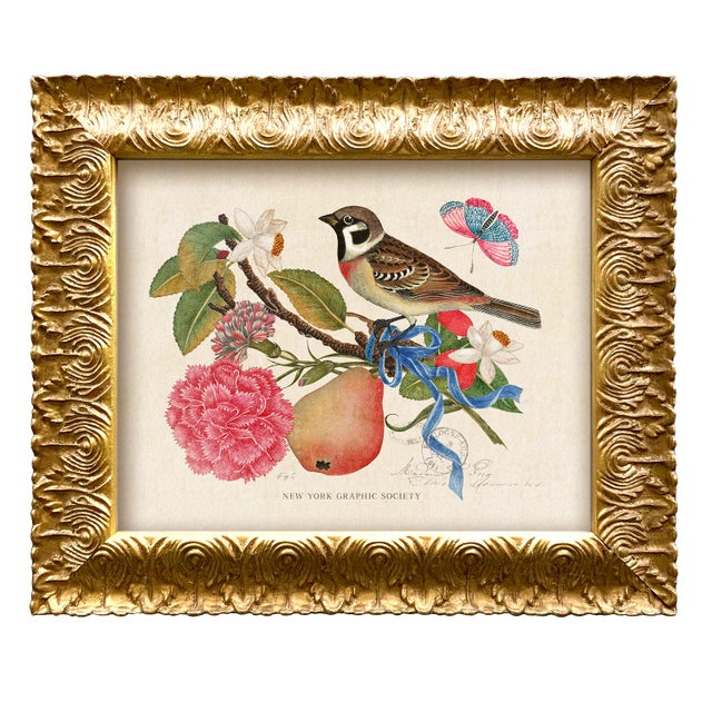 Shabby Chic Vintage Reproduction Giclee Set of Birds and Butterflies-Framed (Set of All 4) For Sale - Image 3 of 7