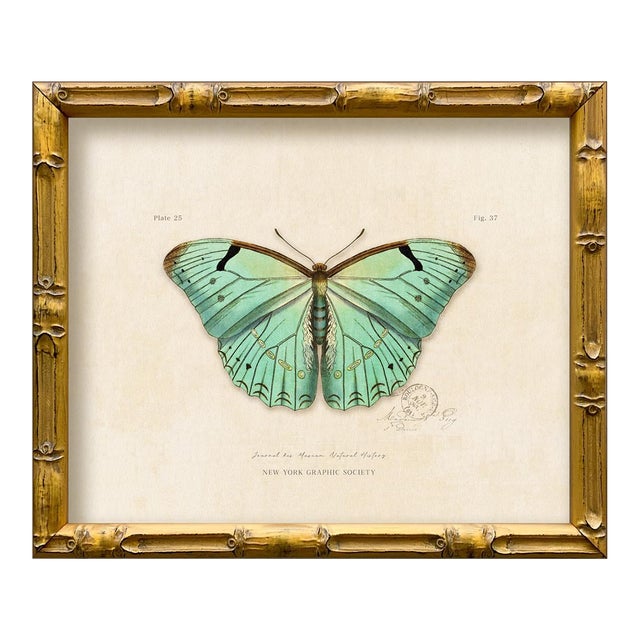 Contemporary Reproduction of Vintage "Garden Friends" Art Print (2), Framed Butterfly For Sale