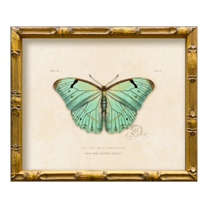 Contemporary Reproduction of Vintage "Garden Friends" Art Print (2), Framed Butterfly
