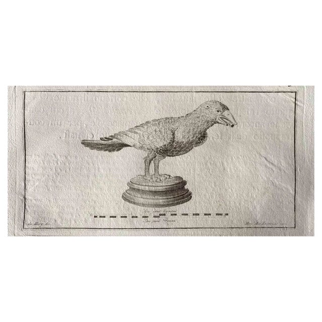 Various Old Masters, Animal Figures from Ancient Rome, Original Etching, 1750s For Sale