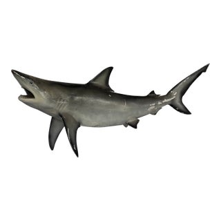 Mid 20th Century Life-Sized Fiberglass Mako Shark Display Mount For Sale