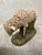 Antique set of 5 hand-painted sheep models from 1903. Plaster nativity figures, but they can be decorative all year round....