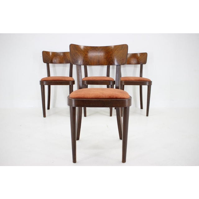 Dining Chairs, Former Czechoslovakia, 1940s, Set of 4 For Sale - Image 3 of 15