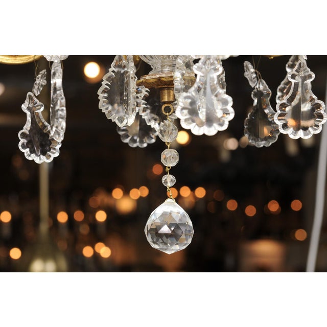 Petite Gilt Bronze & Crystal Louis XV Style Chandelier, 1930s France For Sale - Image 12 of 13