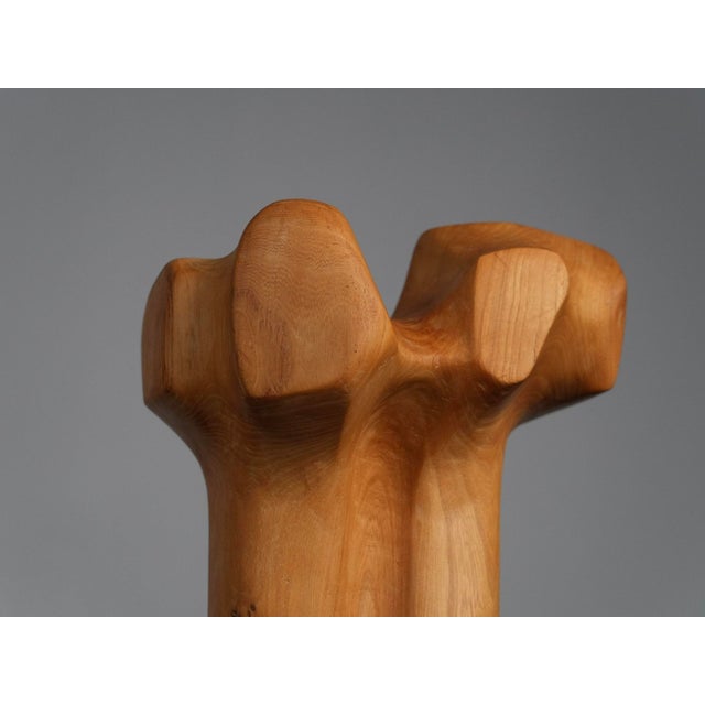 Biomorphic Modernist Sculpture in Carved Wood, Netherlands, 1970s For Sale - Image 6 of 9