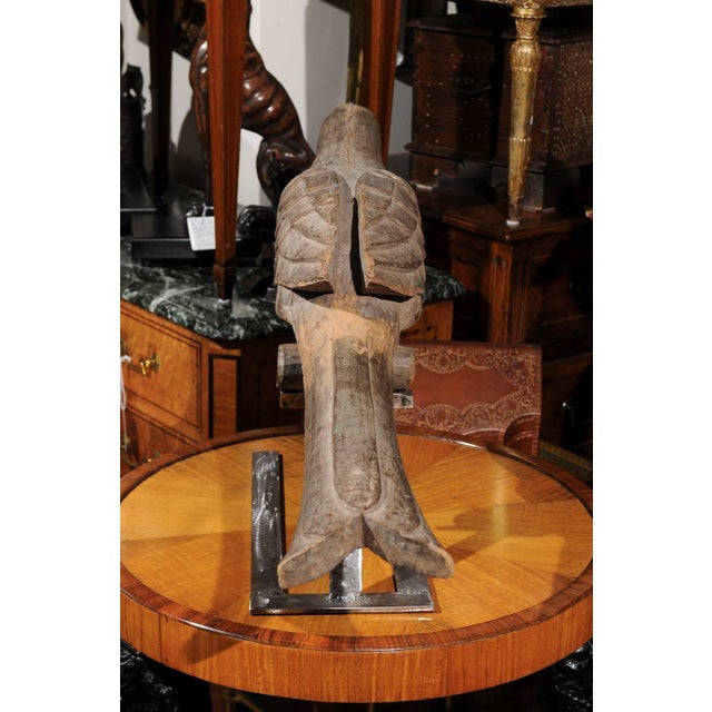 A pair of life size Italian carved wooden parrot sculptures from the late 19th century, mounted on modern steel bases....