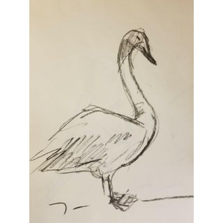 "Goose" Contemporary Animal Charcoal Drawing by Jose Trujillo For Sale