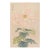 Pink Spider Chrysanthemum by Hasegawa Japanese Botanical Art Print, 20" X 30" For Sale