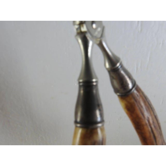 Vintage German Sterling Silver Tongs With Horn Handles For Sale In Nashville - Image 6 of 10