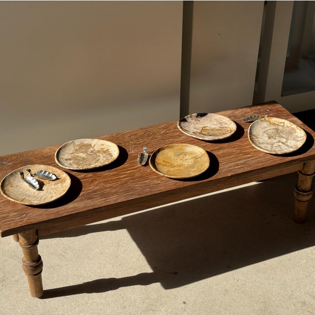 Contemporary Small Trinket Tray in Speckled Beige Petrified Wood For Sale - Image 3 of 18