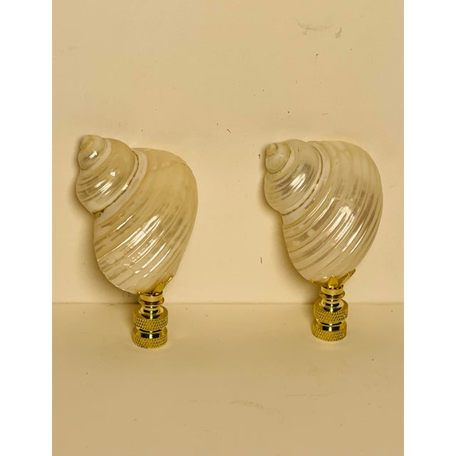 Coastal 1970s Mother of Pearl Turbo Sea Shells Lamp Finials - a Pair For Sale - Image 3 of 4