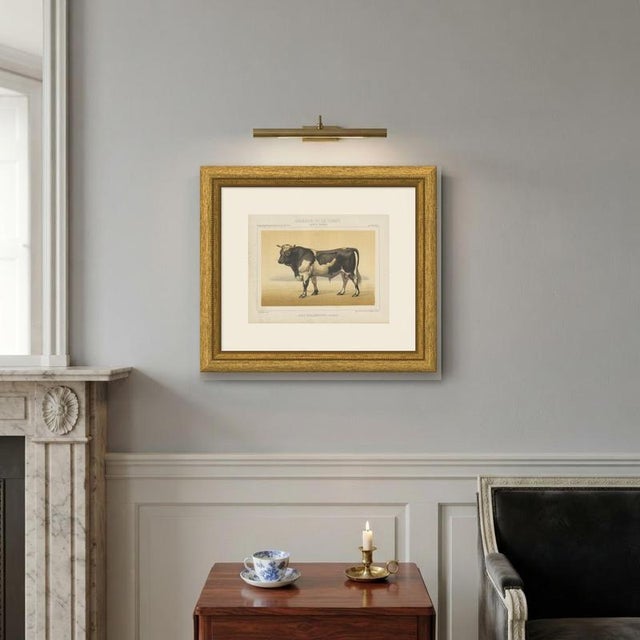 Paper Olivier De Penne, Dutch Bull, Black and White Cattle, 1863, Chromolithograph For Sale - Image 7 of 9
