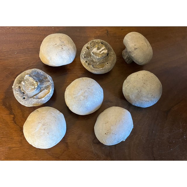 Collection of MidCentury French Composition Stone Models of Mushrooms