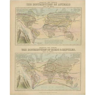 Antique Zoological Map, 1843 For Sale