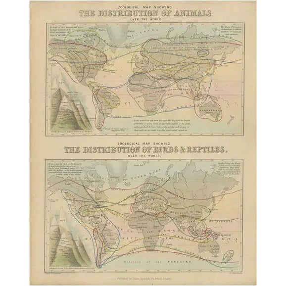 Antique Zoological Map, 1843 For Sale