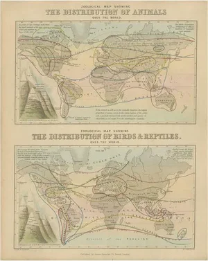 Antique Zoological Map, 1843